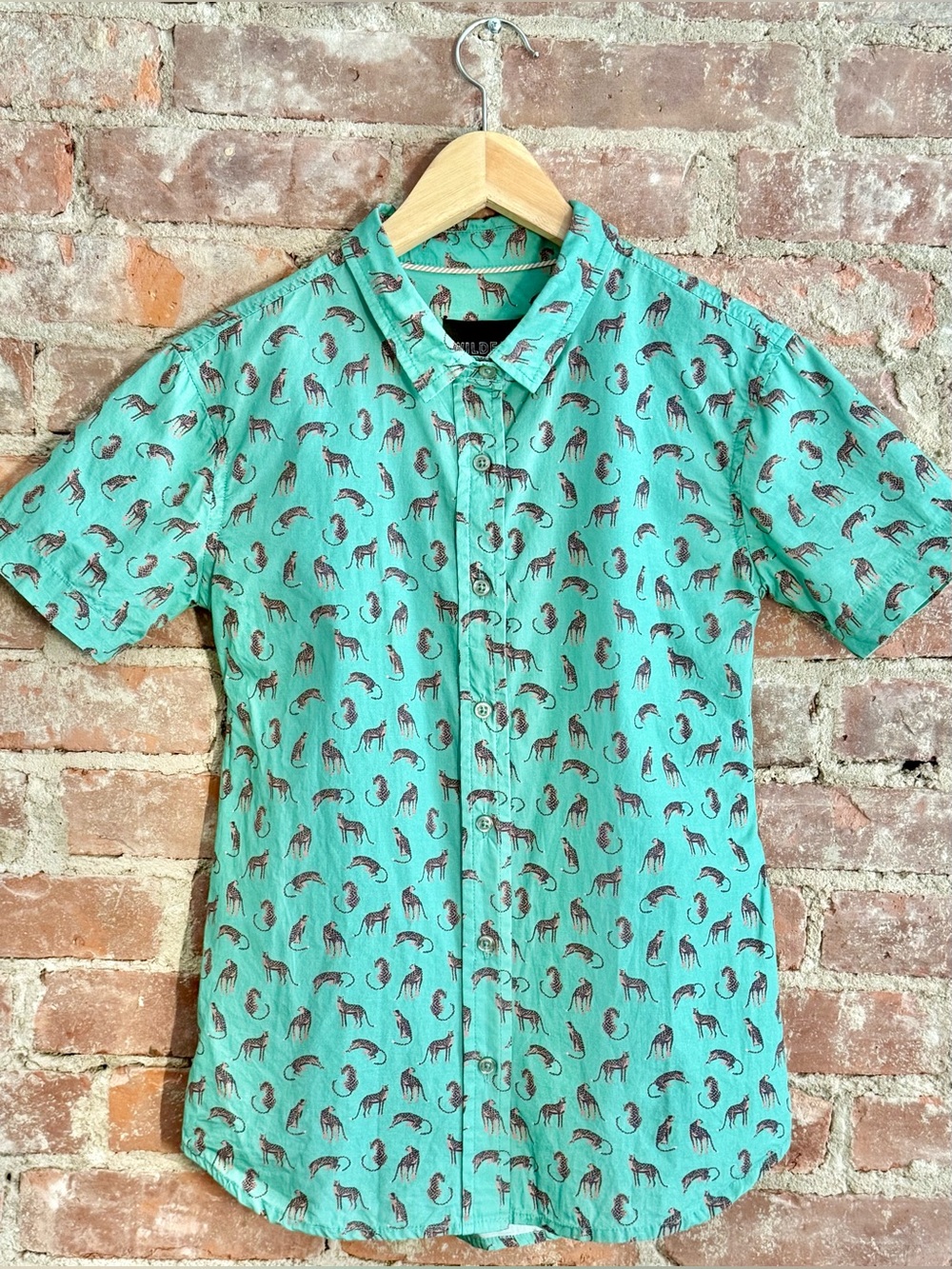 Wildfang Teal Short-Sleeve Button-Down with Animal Print